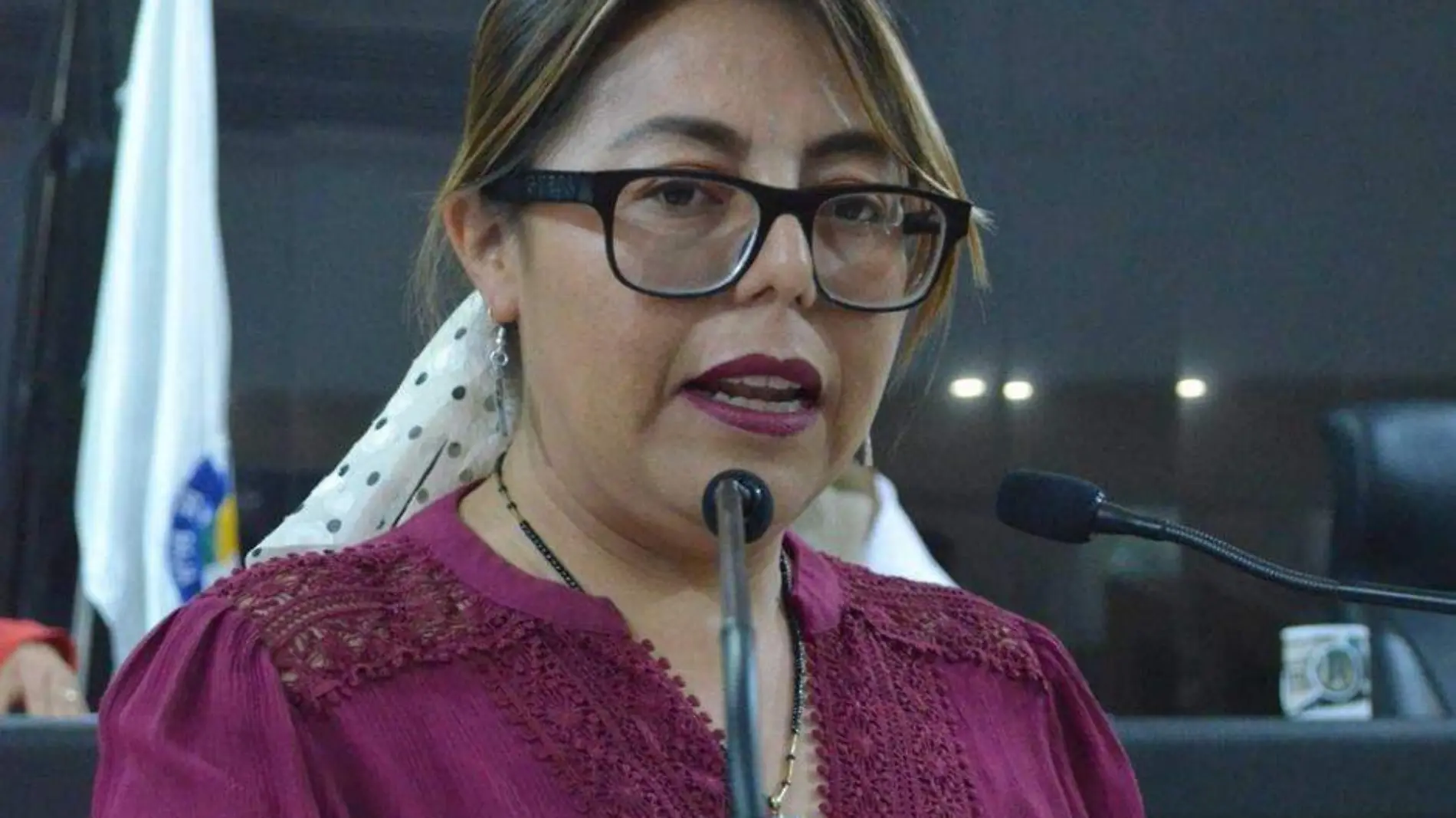 Diputada teresita valentin